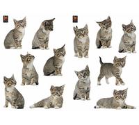 Plage 157102 Adesivi murali - Stickers-Gatti, 2 Fogli, 29,7 x 21 cm