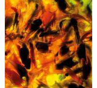Plague Rider Intensities (CD) Album Digipak