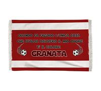 Plaid Granata - Quando fa freddo l'unica cosa che scalda davvero il mio cuore è il colore Granata - Torinese - Calcio - Coperta Pile - Squadre - Stadio - Idee Regalo