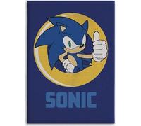 Plaid in pile 100 x 140 cm (989430-Plaid Sonic)