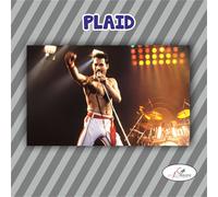 Plaid in pile FREDDIE MERCURY queen coperta pesante calda cantanti idolo regalo