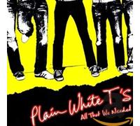 Plain White T's - All That We Needed