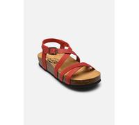 Plakton - CP NEMO Rosso - Sandali e scarpe aperte 37 Rosso