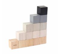 Plan Toys Cubi in legno 1 St