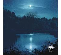 Planes Mistaken For Stars Do You Still Love Me? (Vinyl LP)