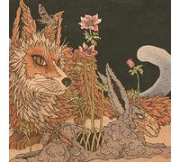 Planes Mistaken For Stars - Prey (2 LP)