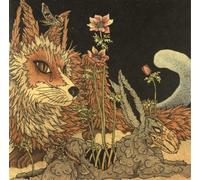 Planes Mistaken For Stars - Prey (2 LP)