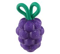Planet Dog by Outward Hound Dental Grapes Dental Chew Toy and Interactive Treat Stuffer Durable Dog Toy Stuffable Dog Toy, Medium, Purple