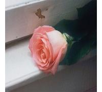 Planet Funk - Blooom