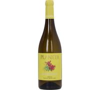 Planeta Terebinto Grillo Sicilia 2025 Bio - 0,75 L