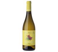 Planeta Terebinto Sicilia Menfi DOC Grillo 2025 0,75 ℓ