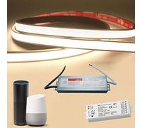 Planetitaly KIT SMART striscia LED tenuta stagna IP68 Linear COB flessibile Neon Flex dimmerabile 24V centralina vocale WiFi controllo vocale luce bagno turco sauna box doccia 3000K