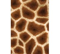Planner Horizontal Layout Weekly and Monthly Calendar a4: Giraffe - 8.27x11.69 Dated 12 Month Jan-Dec With Tabs, To Do List, Yearly Planner and Notes ... Spiral - Gift Ideas for Men, Women and Kids.