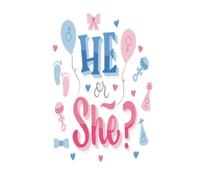 Planning a Gender Reveal Notebook Baby Gender Reveal Party Planner