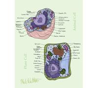 Plant and Animal Cell Diagram Biological Notebook With Labels