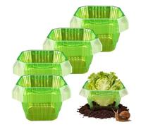 Plant Collars - Garden Cloches for Plants,20-Piece Reusable Slug & Snail Plant Protection Collar, Garden Dome Vegetable Protector | for Vegetables Flower Salad Seedling Planting Growing Gardening