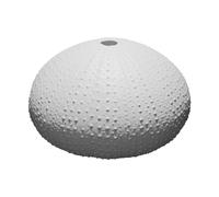 Plant Holder Sea Urchin Design for Air Plants - Indoor Decorative Planter