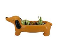 Plant Pots - Flower Pots | plantTers Outdoor | succuLlent Plant Pot for Home Garden Office Decoration Cute Dog plantTers Cute Potss Flower Pot Container for Home Cafe Desk Garden Decor