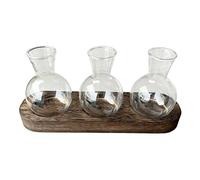 Plant Propagation Jars - 9.45 Inches Wood Frame Planter | Decorative Glass Rooting Jars, Hydroponic Propagation Station for Desktop, Bookshelf, Dorm, and Apartment