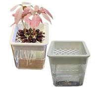 Plant Propagation Station, Hydroponic Planter, 3.27x3.94 Inches Containers with ABS Build, Seedling Holder, Layered Pot with Modern Style, Garden Ornament for Desk & Porch