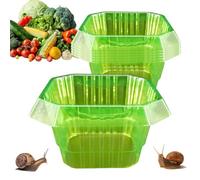 Plant Protection Cover - Gardening Dome Shield 22x12.5x13cm, Snail Collar Barrier | 20 Piece Seedling Guard Kit, Vegetable Flower Salad Defender Support Planting Growth Nursery Yard Orchard Cultivatio