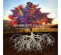 Robert Plant - Digging Deep: Subterranea (2 CD)