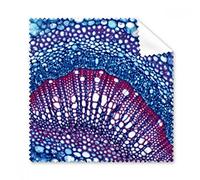 Plant Science Cell Microcosmic occhiali modello panno di pulizia del pulitore dello schermo 5PCS Gift