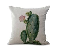 Plant Series Creative Art - Federa copricuscino in stile retro con piante grasse mini, cactus, per negozio, casa, auto, letto divano (45 x 45 cm) MY-P1031-01, Cotone e lino, #5, 45 cm x 45 cm