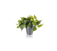 PLANT SOLO PIANTA FINTA DI SOSTITUZIONE PER LAMPADARIO A SOSPENSIONE ARTICOLO. 301000367