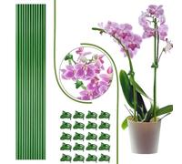 Plant Stakes, Bendable, Sticks with Clips, Green, Flexible Stem Climbing Holders, Fixing Clamp Design, for Potted Vegetables, Strawberry, Pepper, Orchid, Peony, Care