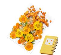Plant Stickers - Adesivi a forma di | Botanical Stickers | 35 adesivi per piante botanicali per giornali, album di ritagli, adesivi per piante, per giornali, album di ritagli, diario