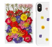 Plant Stickers - Adesivi a forma di | Botanical Stickers | 35 adesivi per piante botanicali per giornali, album di ritagli, adesivi per piante, per giornali, album di ritagli, diario