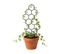 Plant Trellis Indoor 2 Pieces Outdoor Ivy Pothos Support