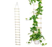 Plant Trellis, Vertical Climbing Ladder, 180x20cm Frame with Rungs, Monstera Support Stake, Natural Wood with Tall Design, Vine Support for Garden and Patio, Home and Balcony