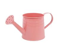 Plant Watering Can - 1L Flower Arrangement Bucket | Garden Watering Can with Long Spout | Small Indoor | Metal Planter Pot For Garden, Backyard