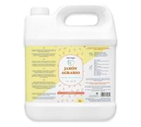 PLANTAWA Sapone Molle Potassico 2L | Base Concentrata Versatile | Alta Purezza Senza Profumi o Additivi | Facile da Diluire e Applicare | sapone molle