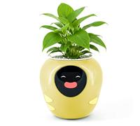 Plantbot Upgraded Large Smart Flower Pot Pet Planter Robot with Artificial Intelligence, Time Temperature Display and Numerous Expressive Animations Based, for Indoor Decoration, Gifts (Yellow)