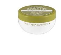 Planters Aloe Masch Disciplin