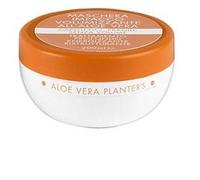 Planters Aloe Masch Volumiz