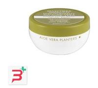 PLANTER S aloe vera maschera impacco disciplinante per capelli 200 ml