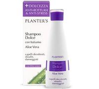 PLANTERS SH DOLCE ALOE VERA