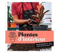 Plantes d'intérieur: 23735