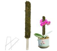 Planting Rods - Trainer di download interno | fibre di cocco utilizzano un supporto a lungo termine per piante in vaso aiuto di crescita accessori da giardino piante da interno