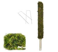 Planting Rods - Trainer di download interno | fibre di cocco utilizzano un supporto a lungo termine per piante in vaso aiuto di crescita accessori da giardino piante da interno