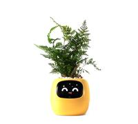 PLANTSIO Endless Fun Smart Pet Planter Ivy, 70 espressioni, 7 sensori intelligenti e chip AI rendono l'allevamento delle piante facile e divertente (giallo)