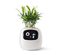PLANTSIO Endless Fun Smart Pet Planter Ivy, 70 espressioni, 7 sensori intelligenti e chip AI rendono l'allevamento delle piante facile e divertente (bianco)