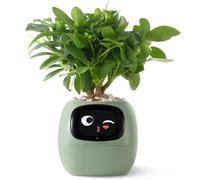 PLANTSIO Smart Pet Planter guida sulla cura delle piante con emoji, adorabile compagno di piante con ricca interazione gestuale, regalo ordinato per l'installazione della scrivania (rosa) (Verde)