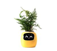 PLANTSIO Smart Pet Planter - Vaso intelligente alimentato dall'intelligenza artificiale con guida per la cura delle piante Emoji, adorabile interazione con i gesti, vaso decorativo moderno per la casa