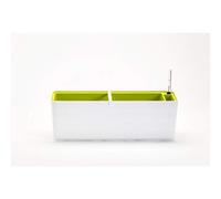 Plastia Urbalive Berberis - 60cm - White And Green