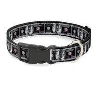 Plastic Clip Collar 100 Dollar Bill X-Ray Black/White NARROW-Medium 8.5-12"